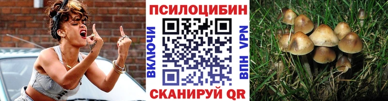 Псилоцибиновые грибы MAGIC MUSHROOMS  магазин  наркотиков  Афипский 