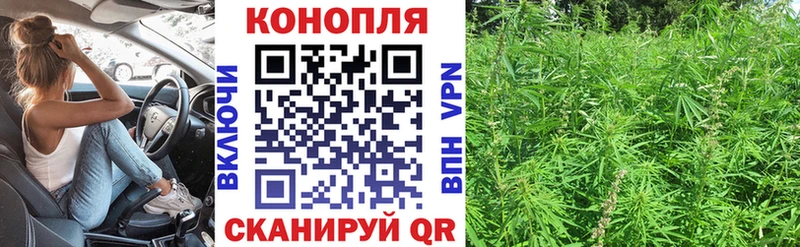 Бошки Шишки планчик Афипский
